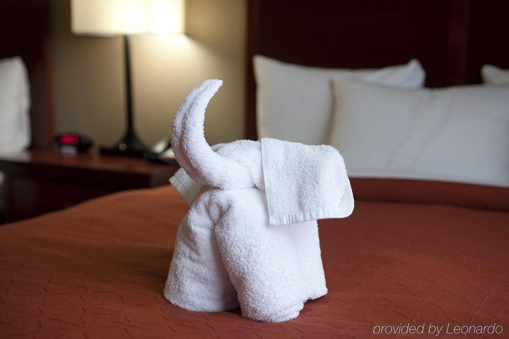 Seffner Inn And Suites Ngoại thất bức ảnh